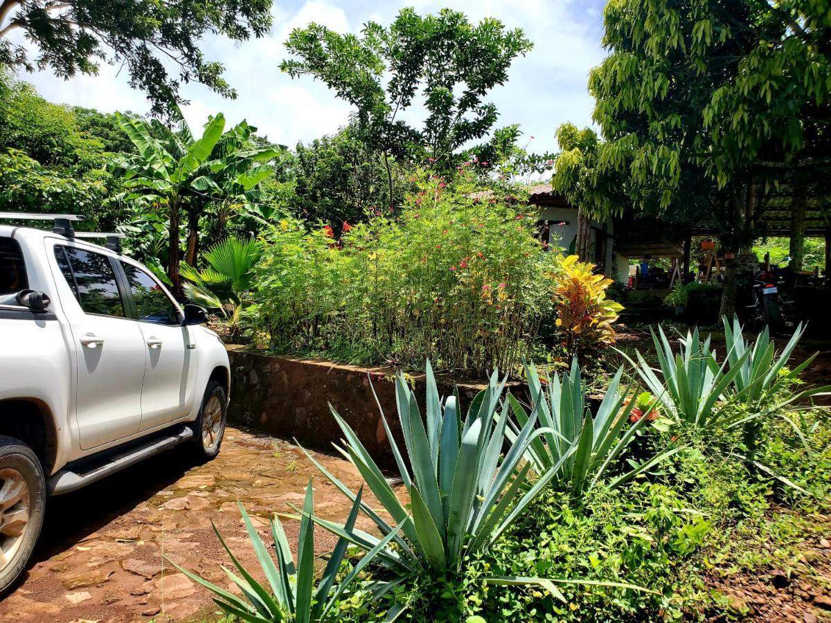 The Jungle Villa Mérida Exterior foto