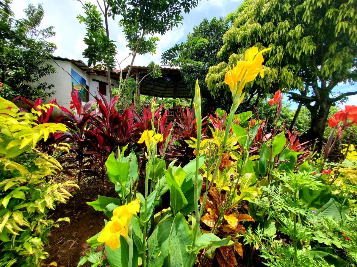 The Jungle Villa Mérida Exterior foto