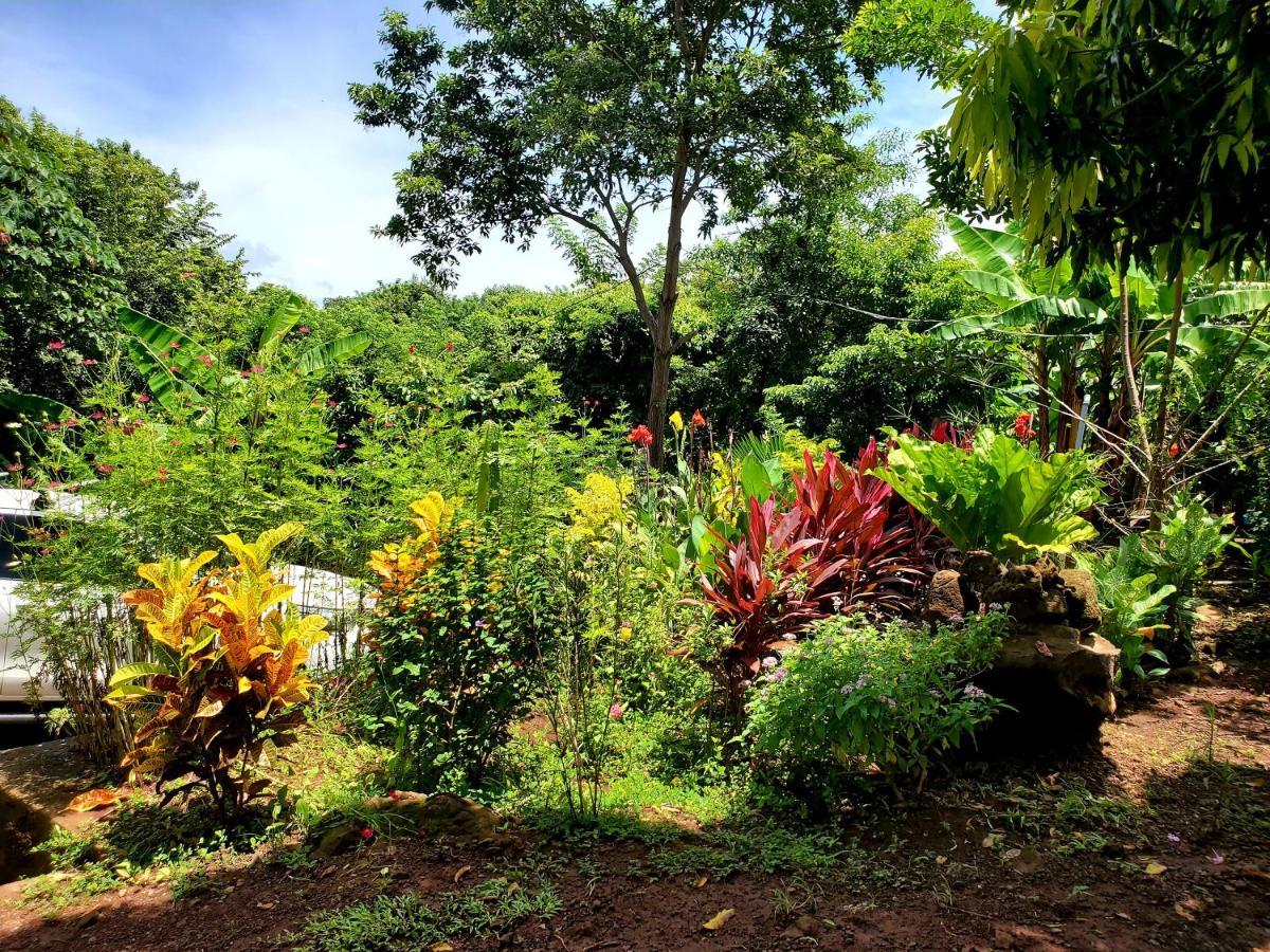 The Jungle Villa Mérida Exterior foto