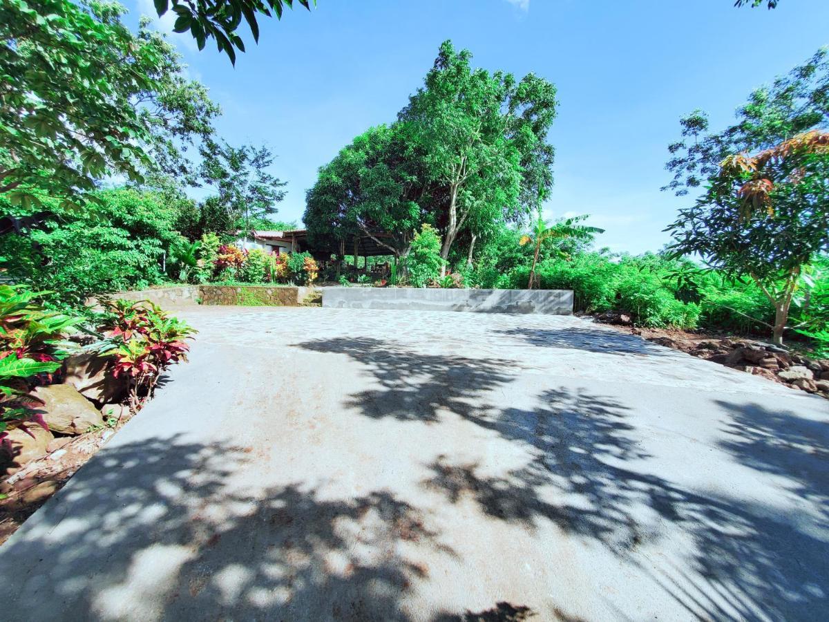 The Jungle Villa Mérida Exterior foto