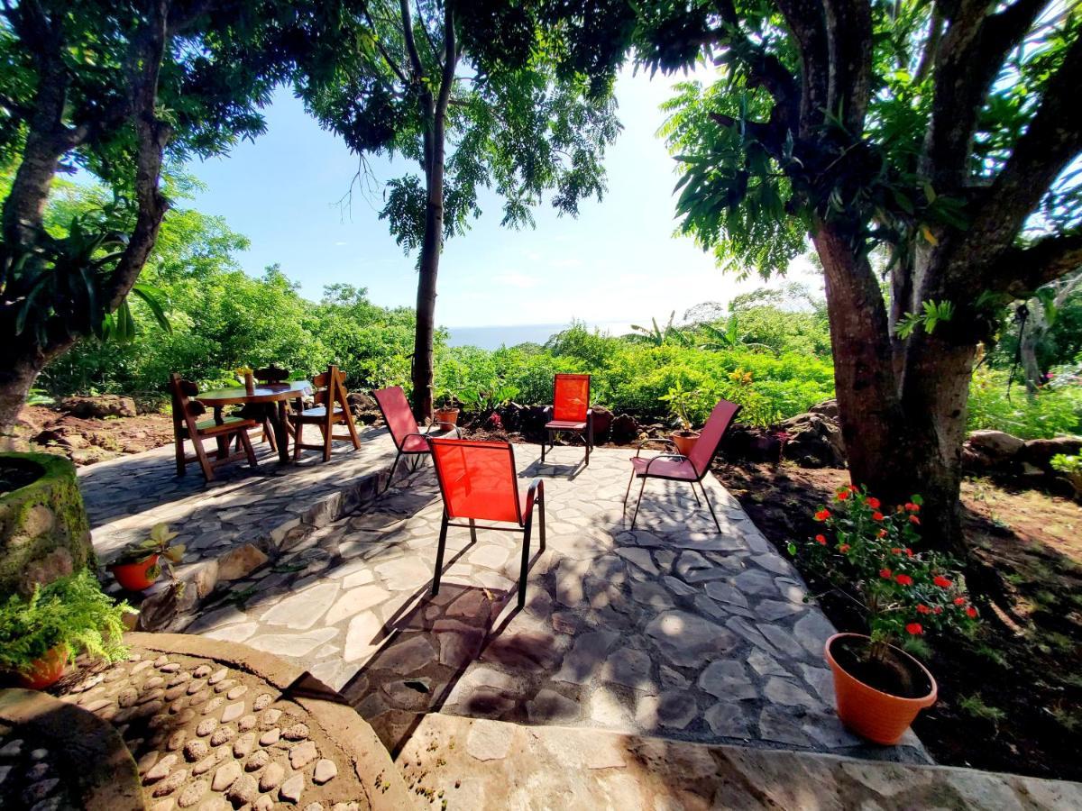 The Jungle Villa Mérida Exterior foto