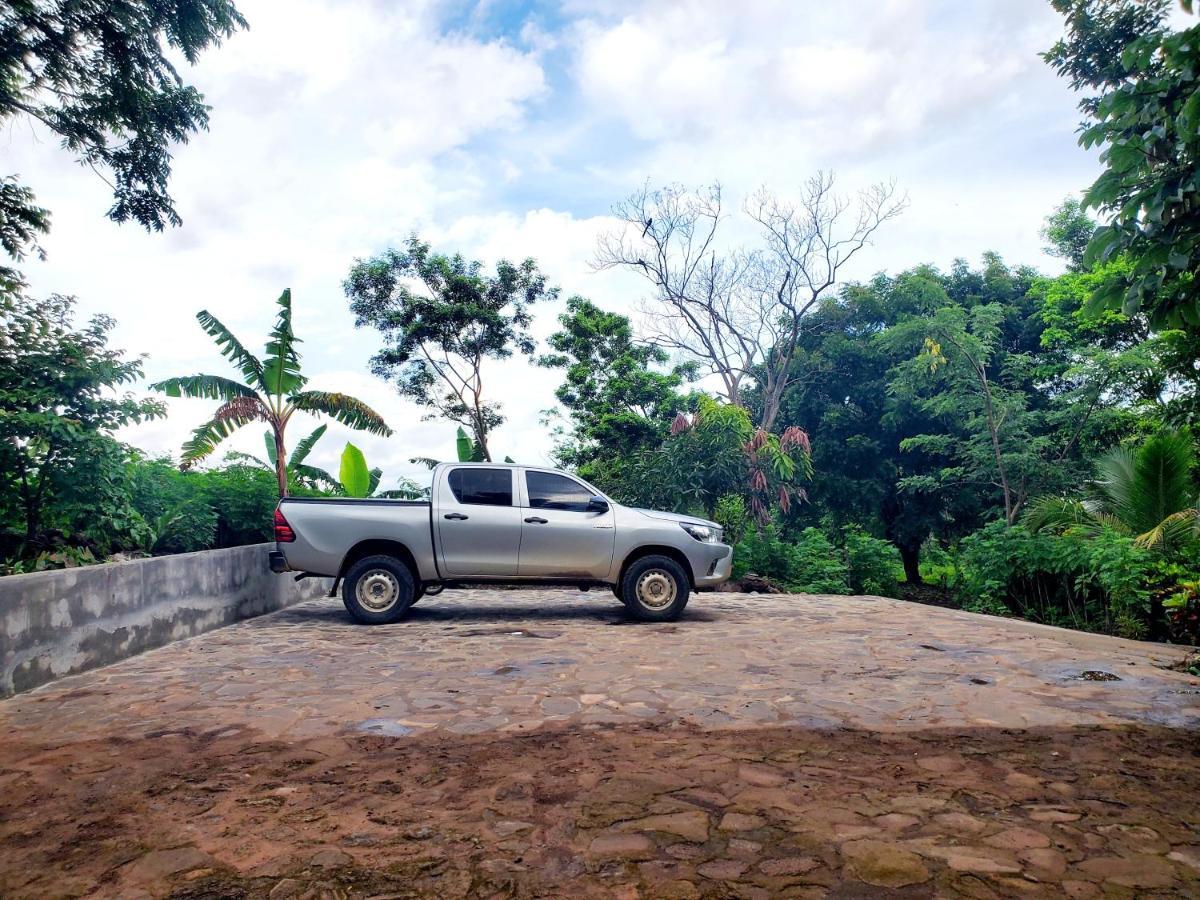 The Jungle Villa Mérida Exterior foto