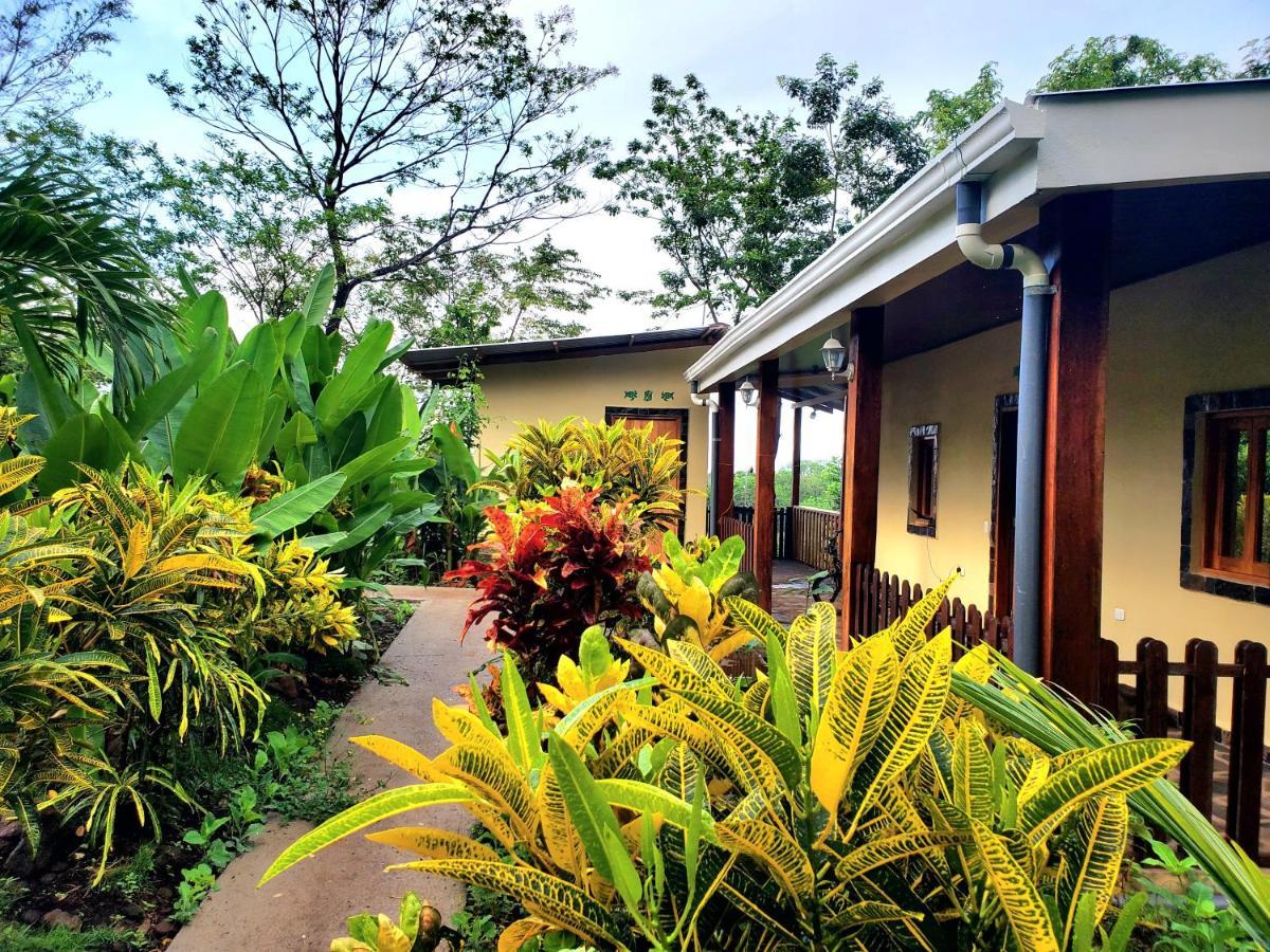 The Jungle Villa Mérida Exterior foto