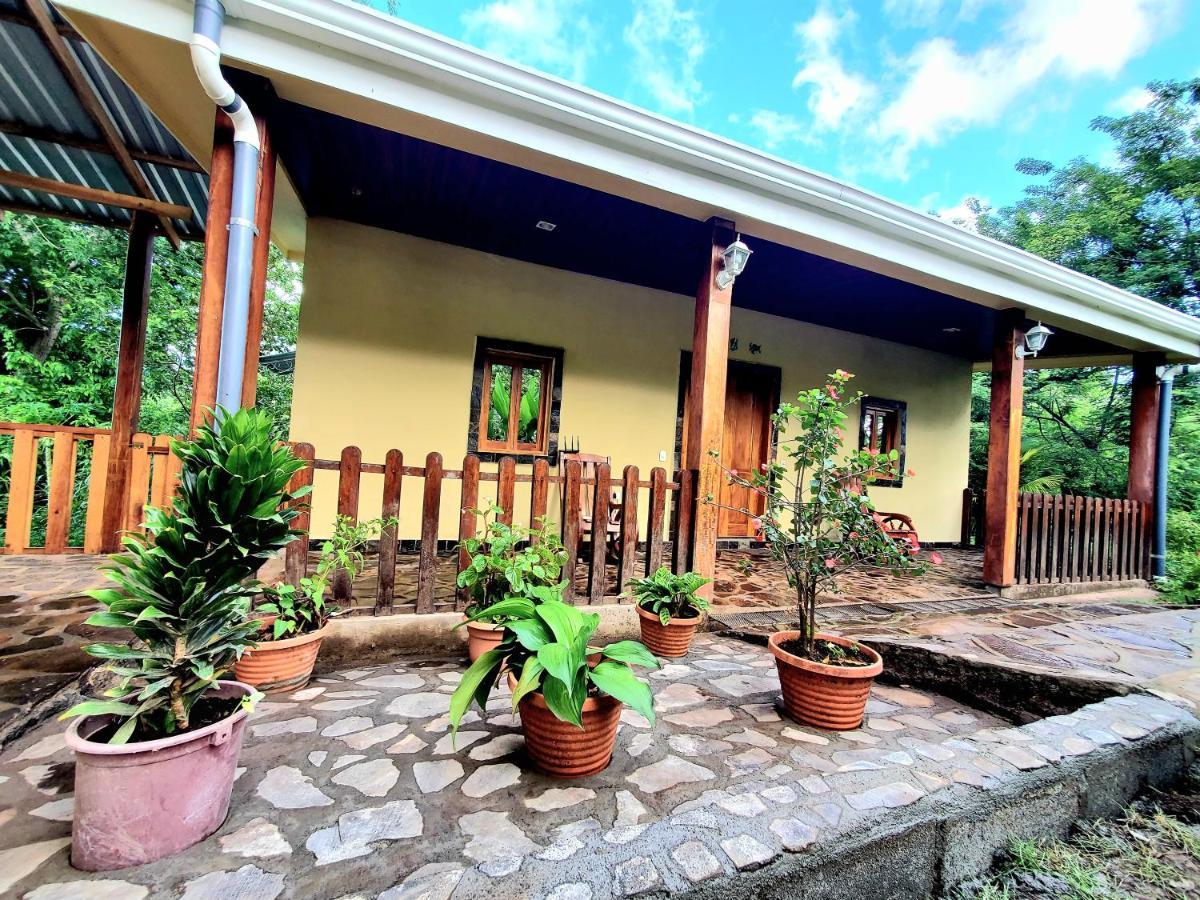 The Jungle Villa Mérida Exterior foto
