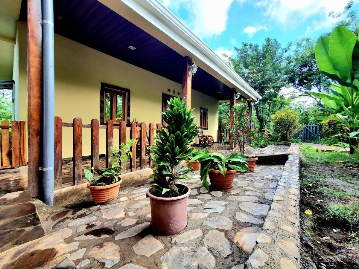 The Jungle Villa Mérida Exterior foto