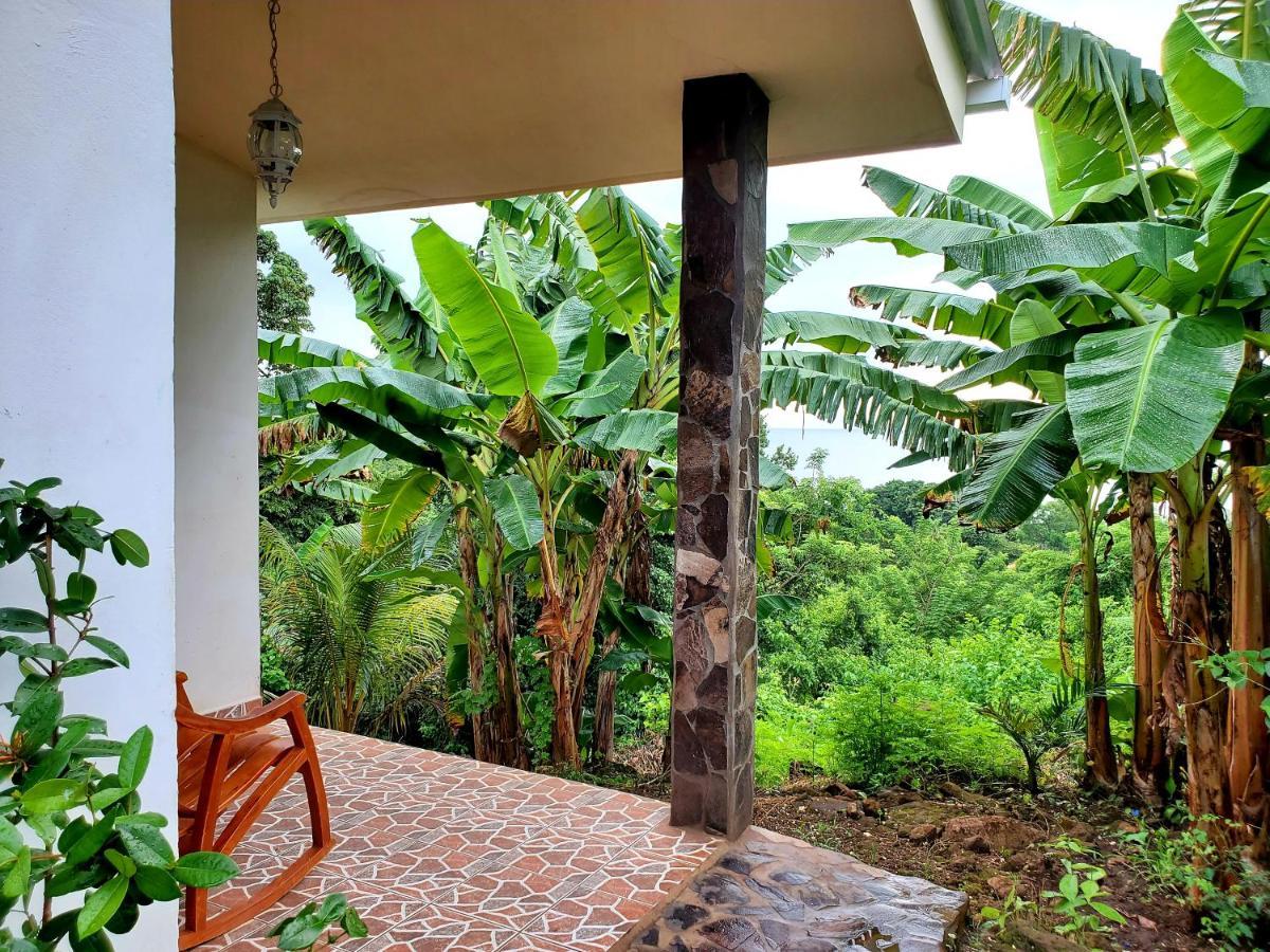 The Jungle Villa Mérida Exterior foto